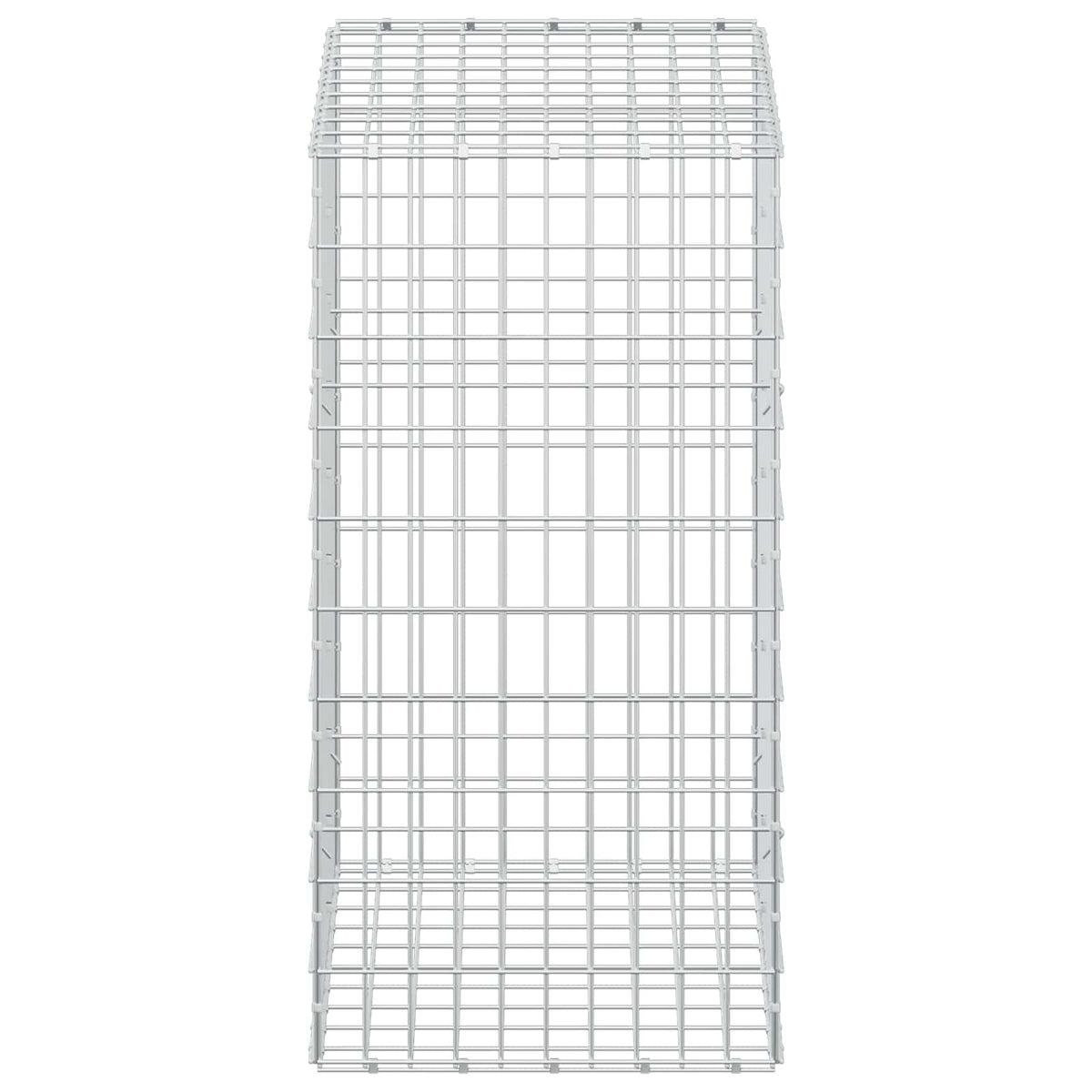 vidaXL Gabion z drutem 5 mm i siatką 5x10 cm 100x50x100 cm