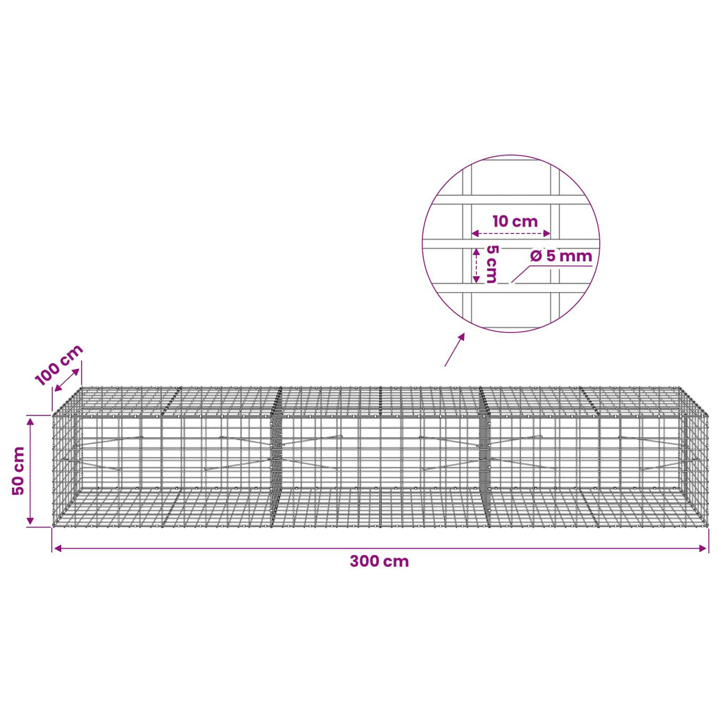 vidaXL Gabion z drutem 5 mm i siatką 5x10 cm 300x100x50 cm
