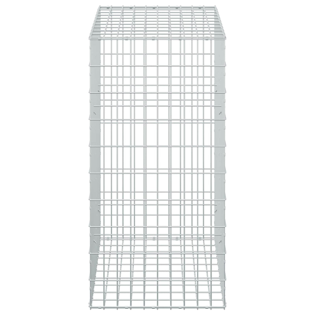 vidaXL Gabion z drutem 5 mm i siatką 5x10 cm 50x100x100 cm