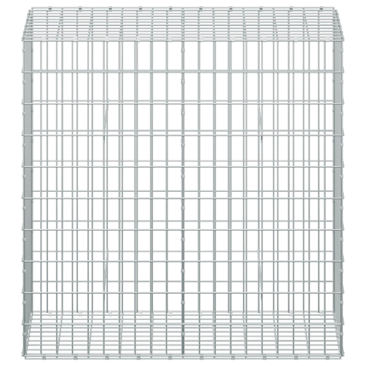 vidaXL Gabion z drutem 5 mm i siatką 5x10 cm 50x100x100 cm