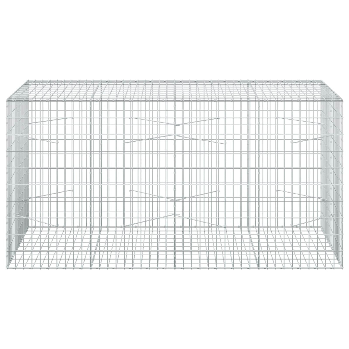 vidaXL Gabion z drutem 5 mm i siatką 5x10 cm 200x100x100 cm