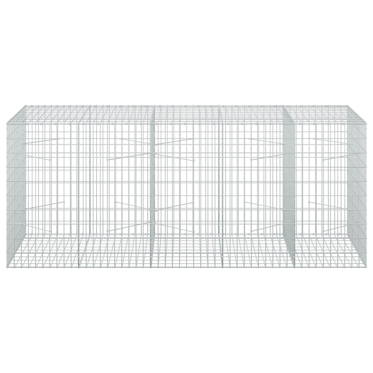 vidaXL Gabion z drutem 5 mm i siatką 5x10 cm 250x100x100 cm