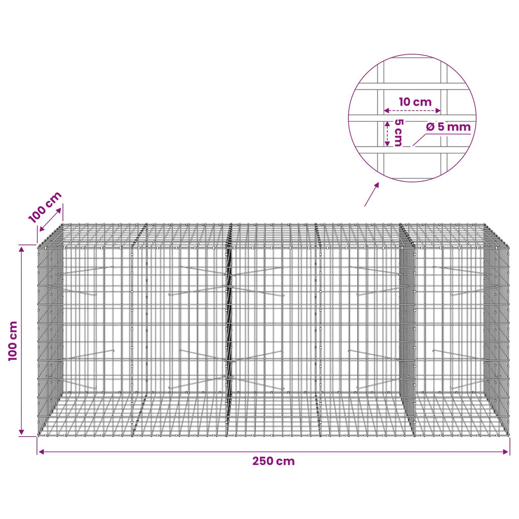 vidaXL Gabion z drutem 5 mm i siatką 5x10 cm 250x100x100 cm