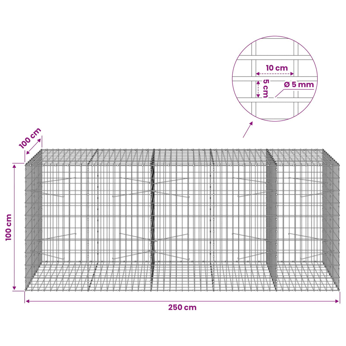vidaXL Gabion z drutem 5 mm i siatką 5x10 cm 250x100x100 cm
