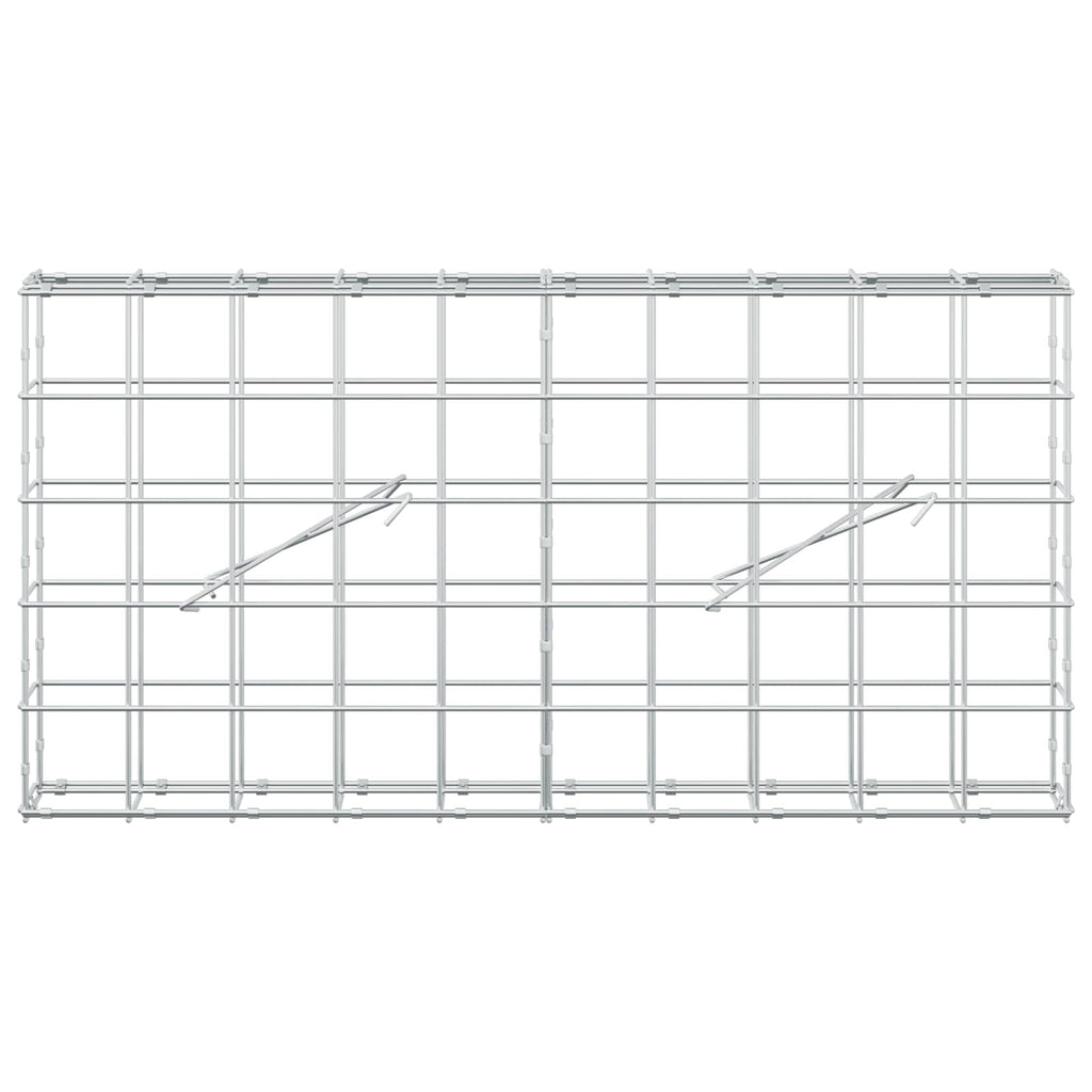 vidaXL Gabion z drutem 5 mm i siatką 10x10 cm 100x10x50 cm