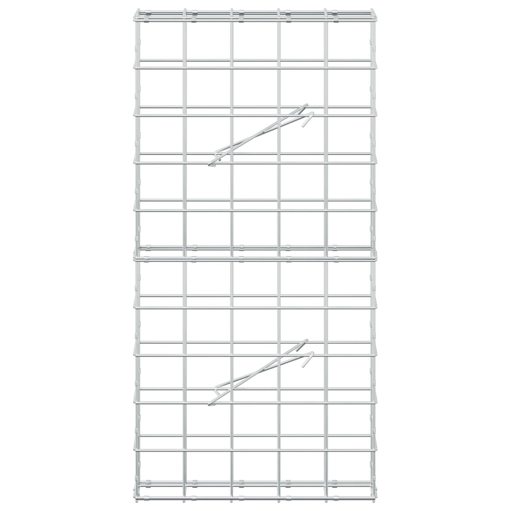 vidaXL Gabion z drutem 5 mm i siatką 10x10 cm 50x10x100 cm