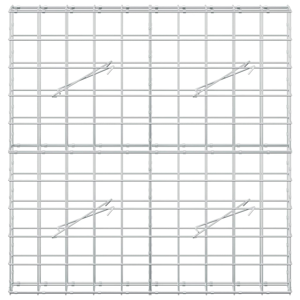 vidaXL Gabion z drutem 5 mm i siatką 10x10 cm 100x10x100 cm