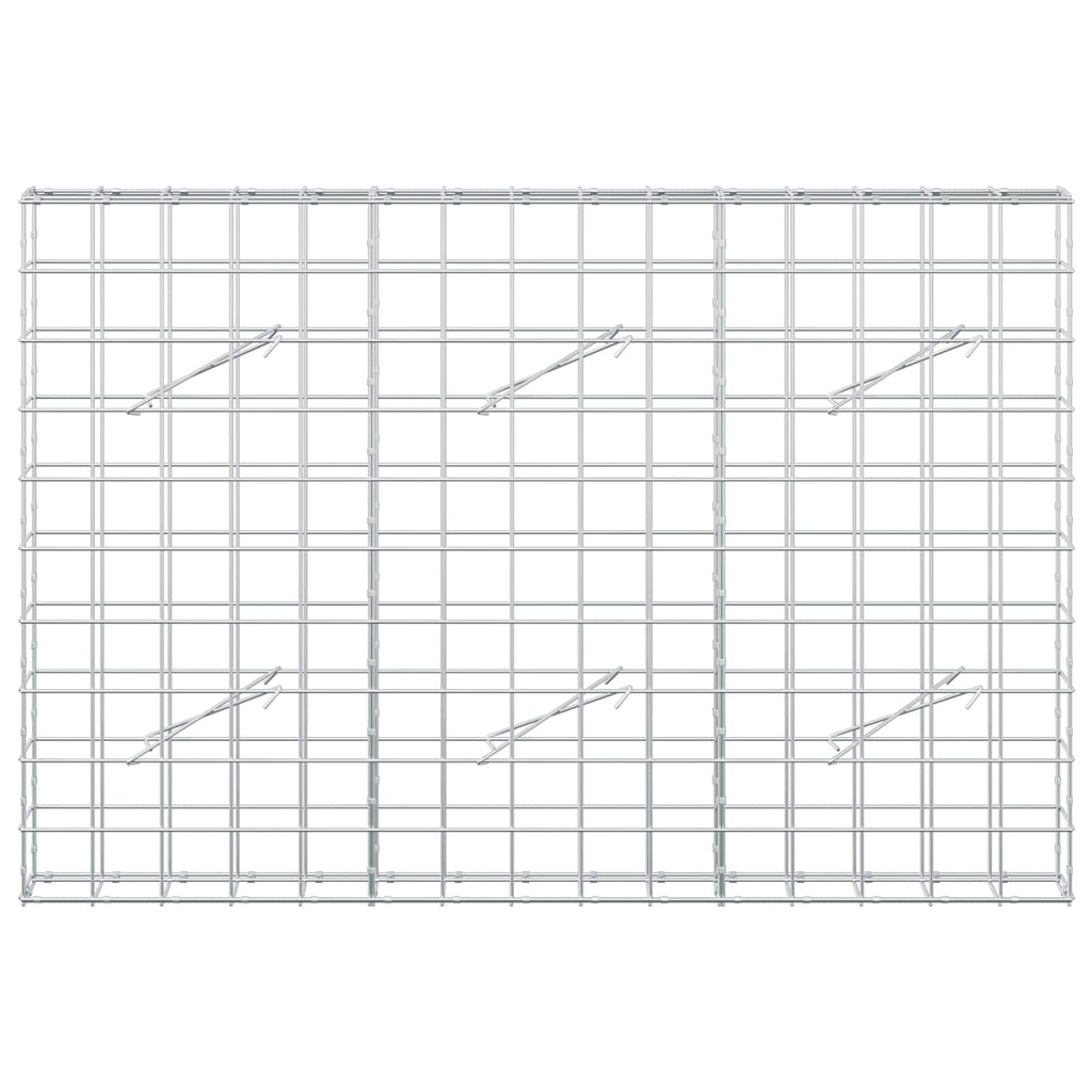 vidaXL Gabion z drutem 5 mm i siatką 10x10 cm 150x10x100 cm