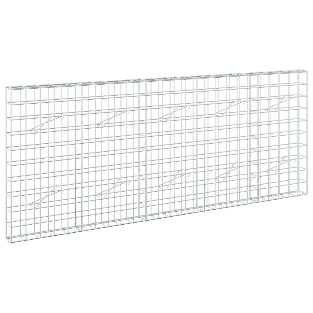 vidaXL Gabion z drutem 5 mm i siatką 10x10 cm 250x10x100 cm