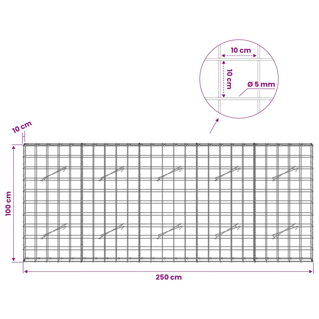 vidaXL Gabion z drutem 5 mm i siatką 10x10 cm 250x10x100 cm