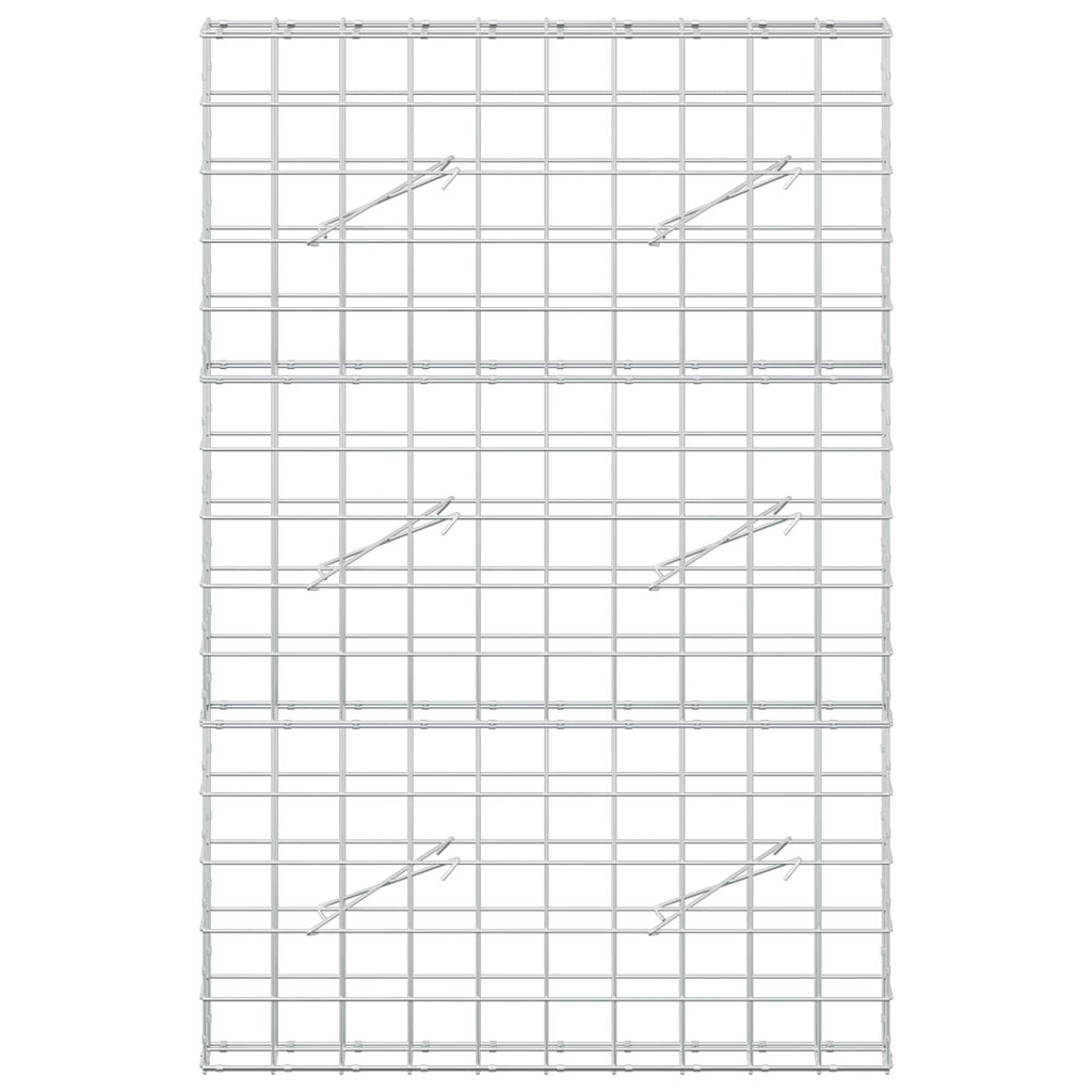 vidaXL Gabion z drutem 5 mm i siatką 10x10 cm 100x10x150 cm
