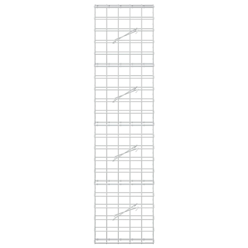vidaXL Gabion z drutem 5 mm i siatką 10x10 cm 50x10x200 cm