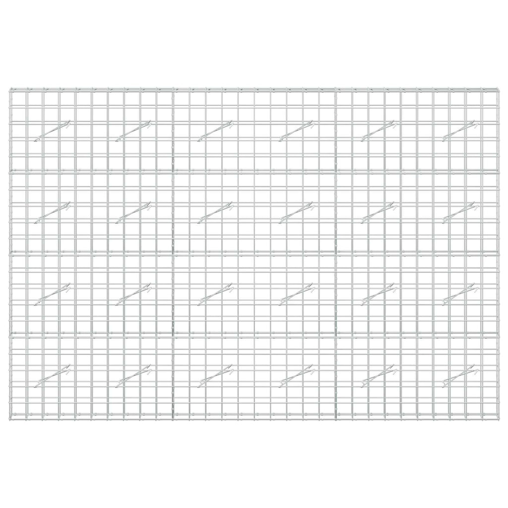 vidaXL Gabion z drutem 5 mm i siatką 10x10 cm 300x10x200 cm