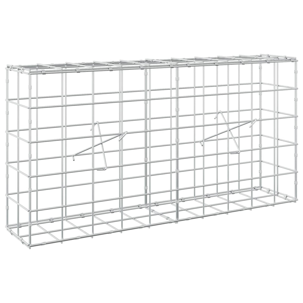 vidaXL Gabion z drutem 5 mm i siatką 10x10 cm 100x20x50 cm