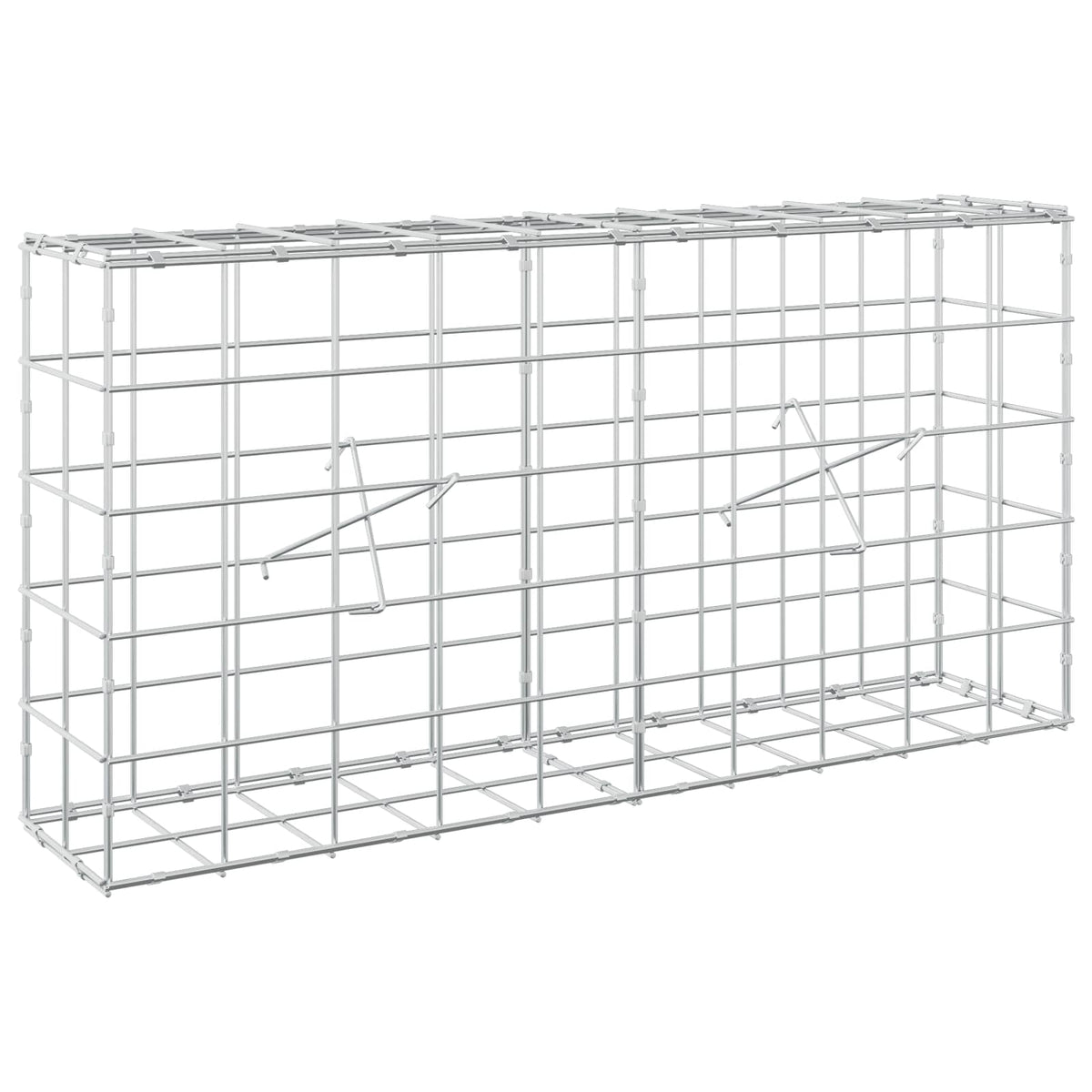 vidaXL Gabion z drutem 5 mm i siatką 10x10 cm 100x20x50 cm