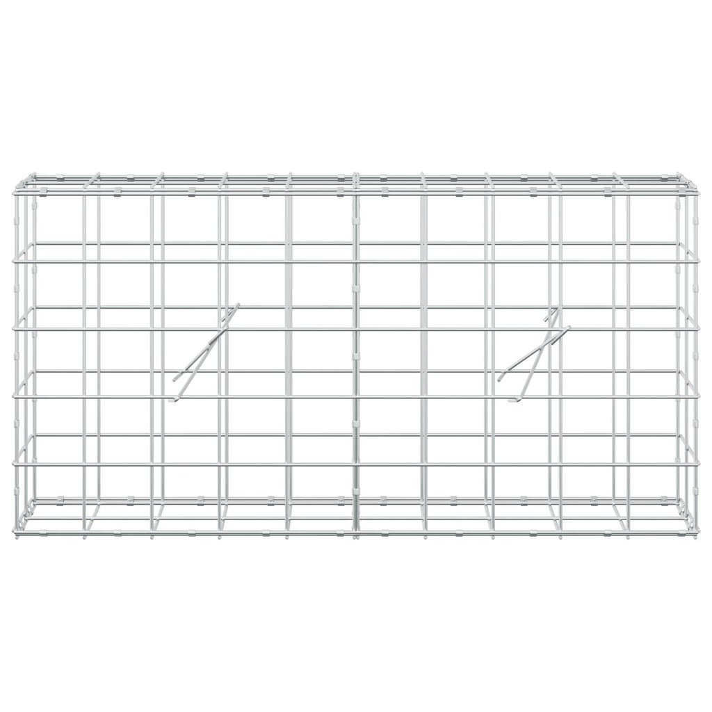 vidaXL Gabion z drutem 5 mm i siatką 10x10 cm 100x20x50 cm