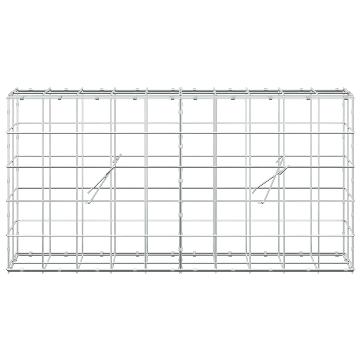 vidaXL Gabion z drutem 5 mm i siatką 10x10 cm 100x20x50 cm