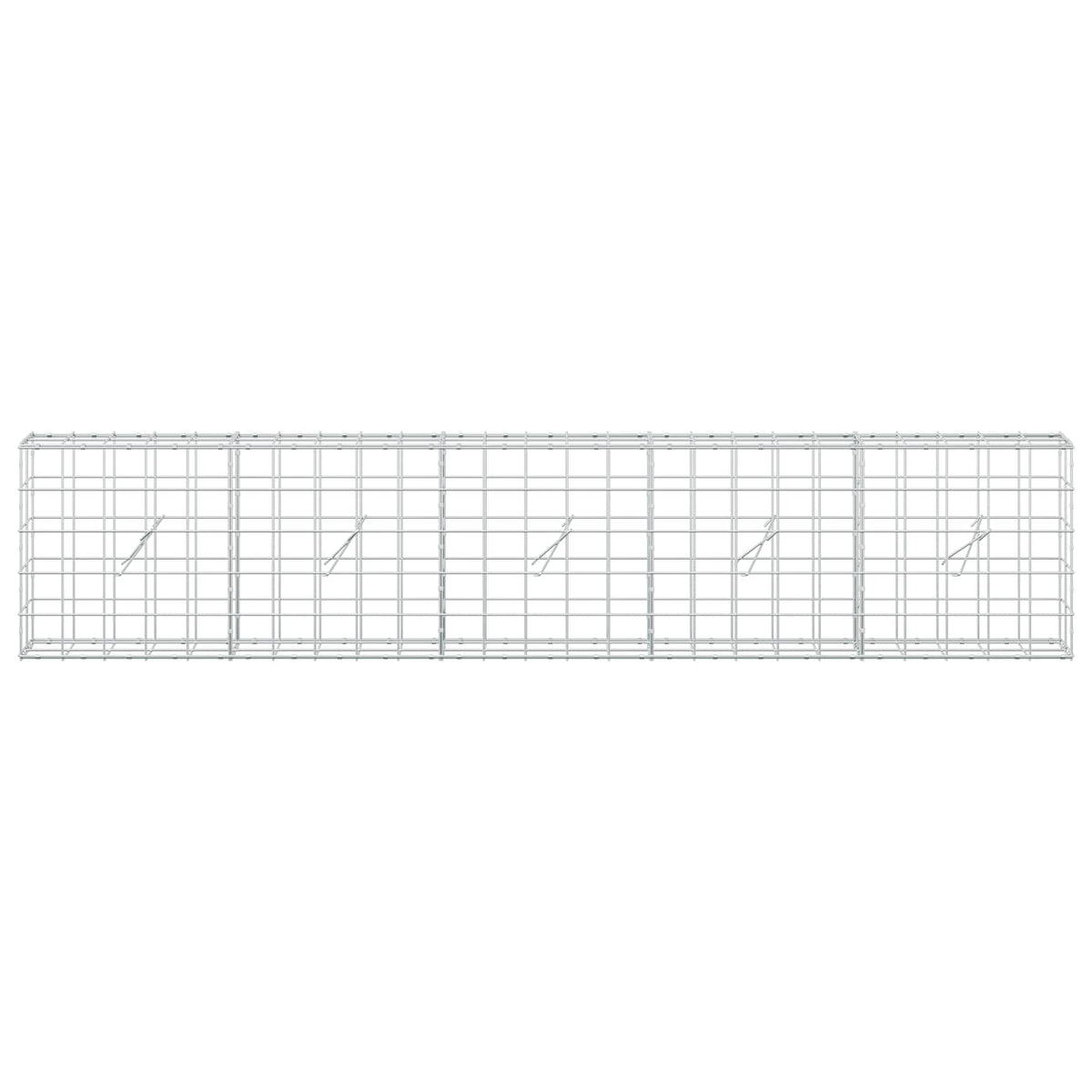 vidaXL Gabion z drutem 5 mm i siatką 10x10 cm 250x20x50 cm