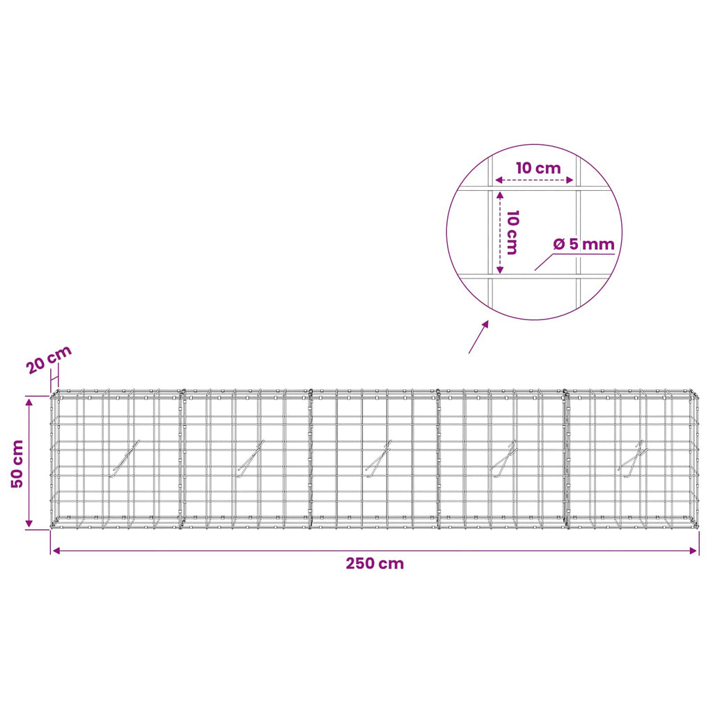 vidaXL Gabion z drutem 5 mm i siatką 10x10 cm 250x20x50 cm