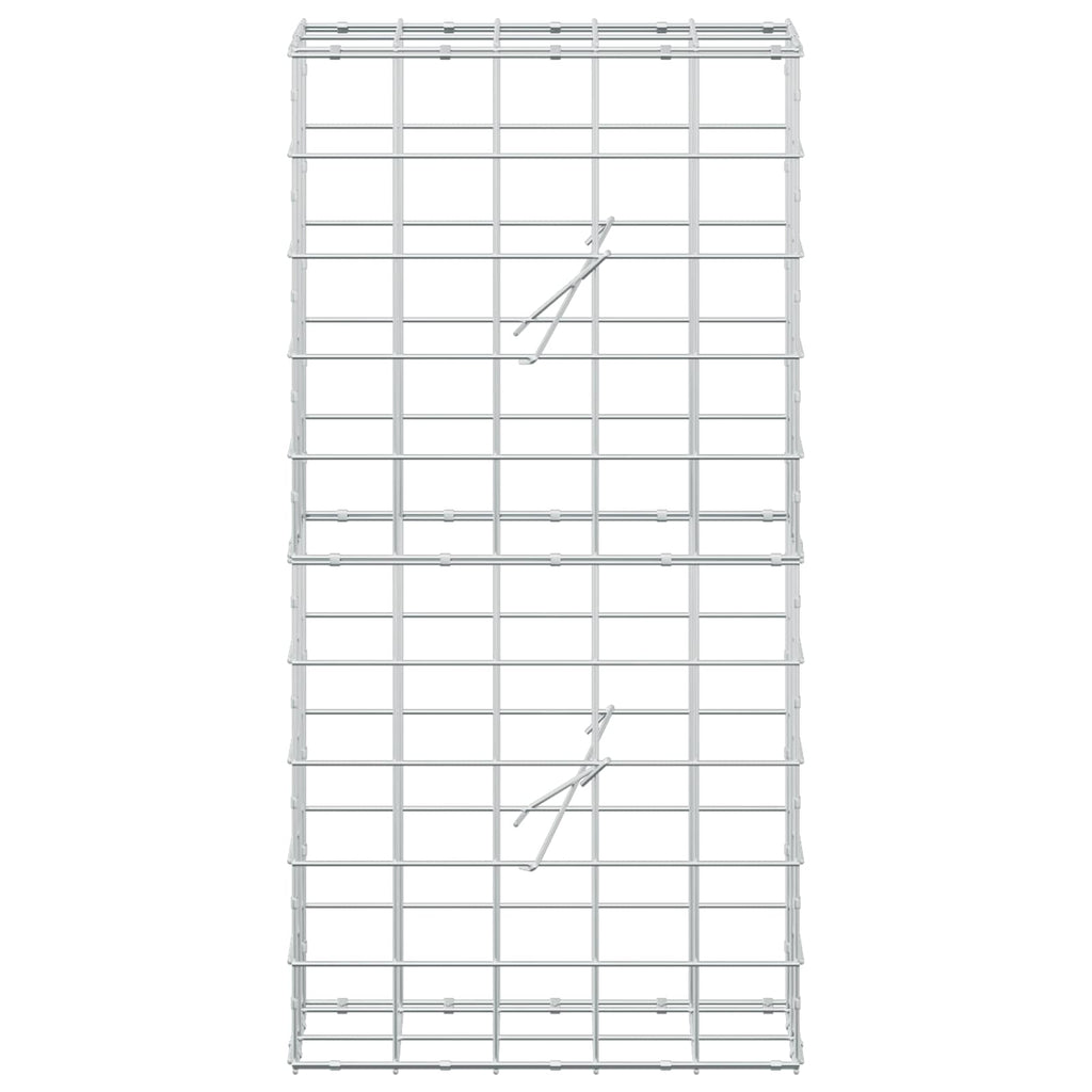 vidaXL Gabion z drutem 5 mm i siatką 10x10 cm 50x20x100 cm