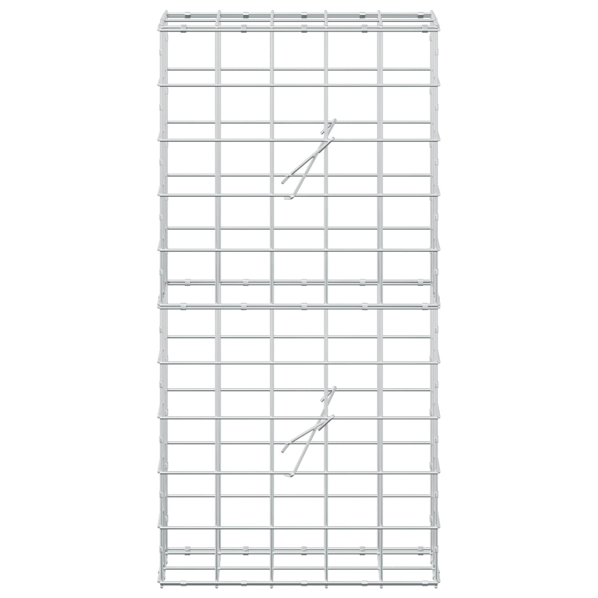 vidaXL Gabion z drutem 5 mm i siatką 10x10 cm 50x20x100 cm