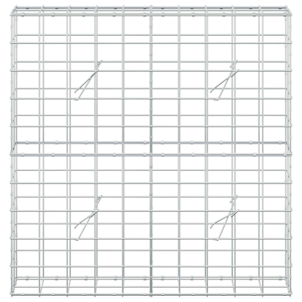 vidaXL Gabion z drutem 5 mm i siatką 10x10 cm 100x20x100 cm