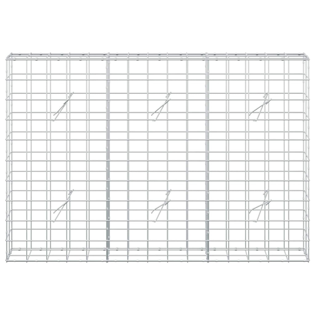 vidaXL Gabion z drutem 5 mm i siatką 10x10 cm 150x20x100 cm