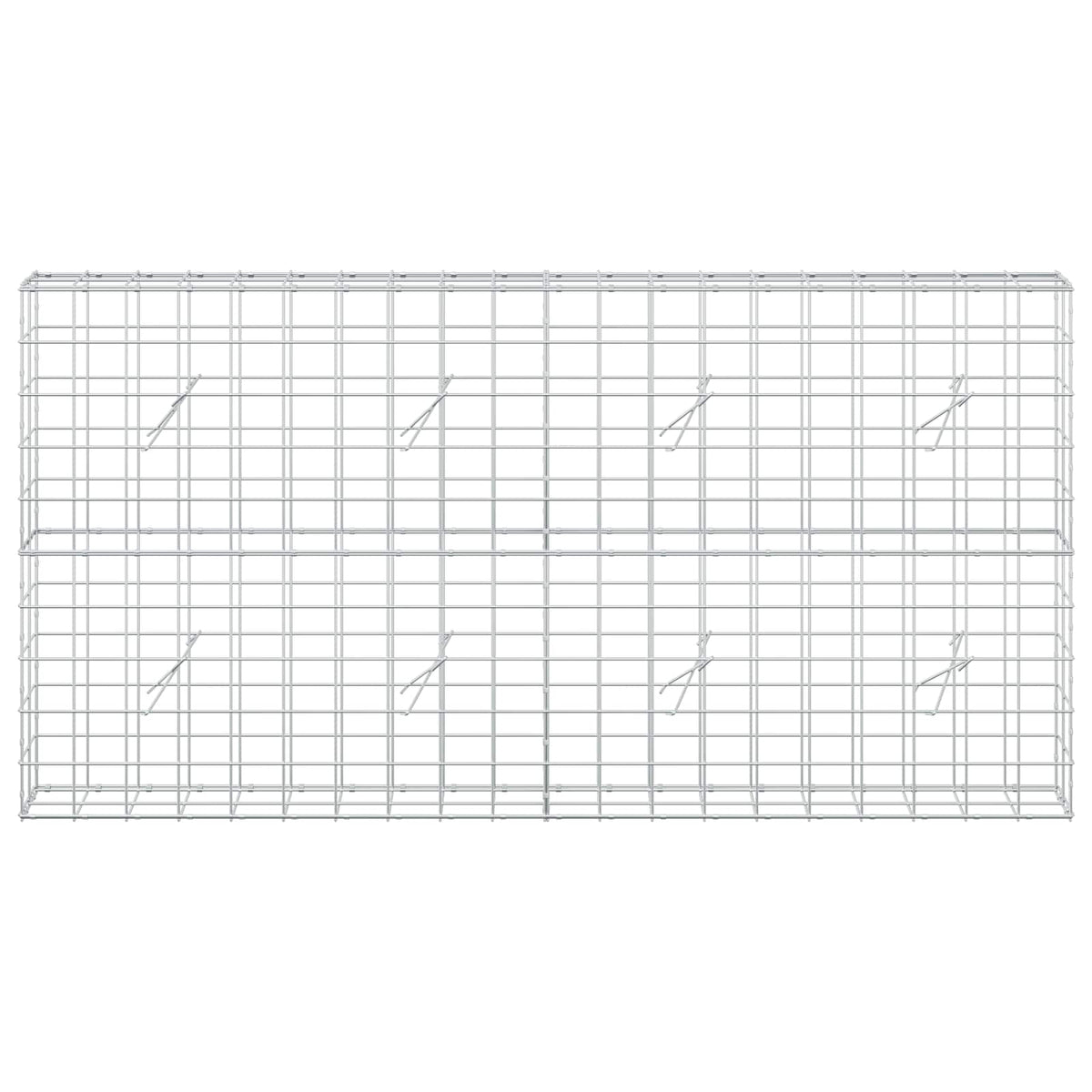 vidaXL Gabion z drutem 5 mm i siatką 10x10 cm 200x20x100 cm