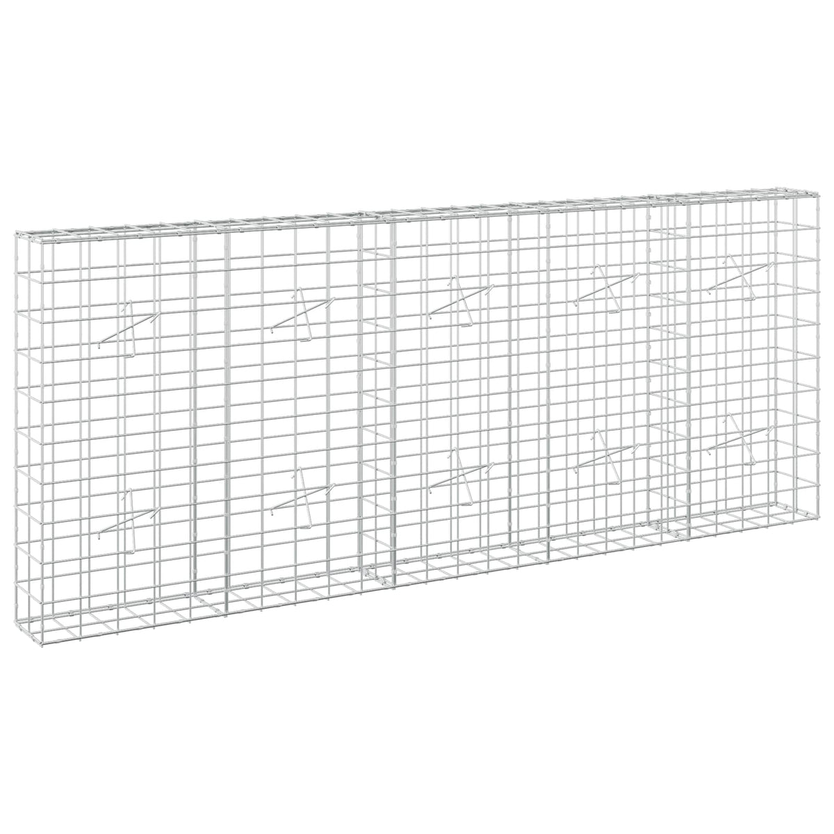 vidaXL Gabion z drutem 5 mm i siatką 10x10 cm 250x20x100 cm