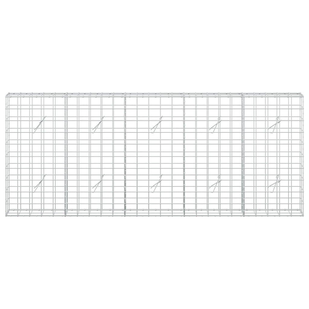 vidaXL Gabion z drutem 5 mm i siatką 10x10 cm 250x20x100 cm