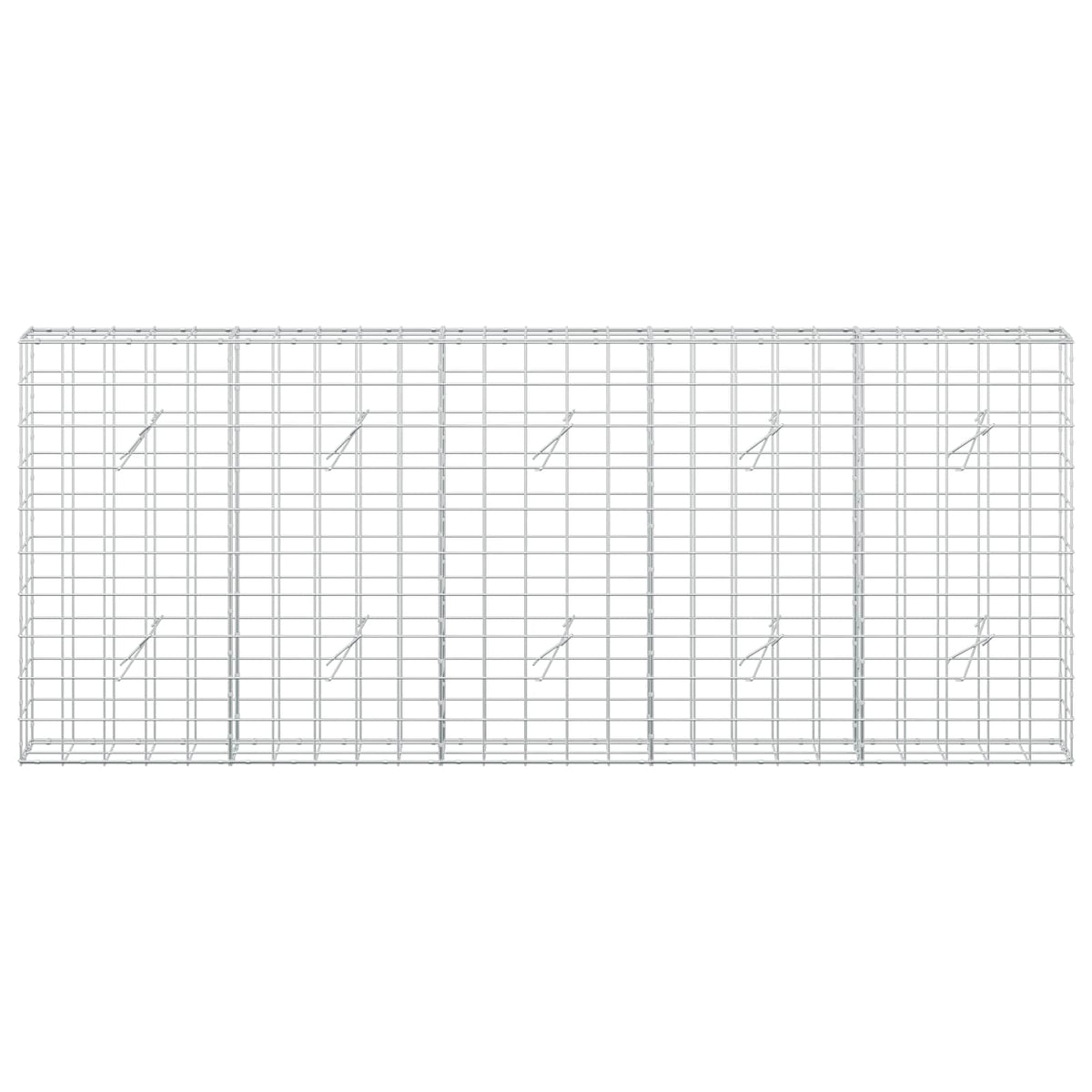 vidaXL Gabion z drutem 5 mm i siatką 10x10 cm 250x20x100 cm