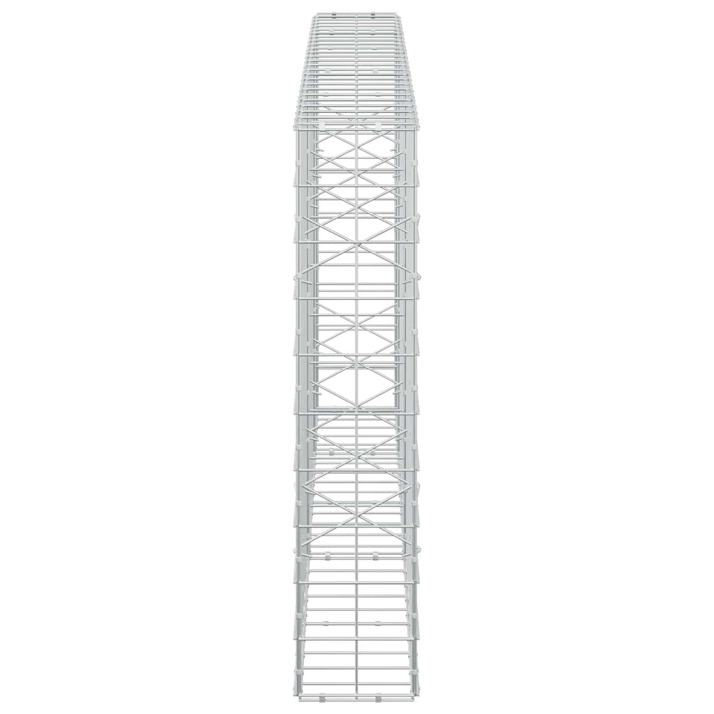 vidaXL Gabion z drutem 5 mm i siatką 10x10 cm 250x20x100 cm