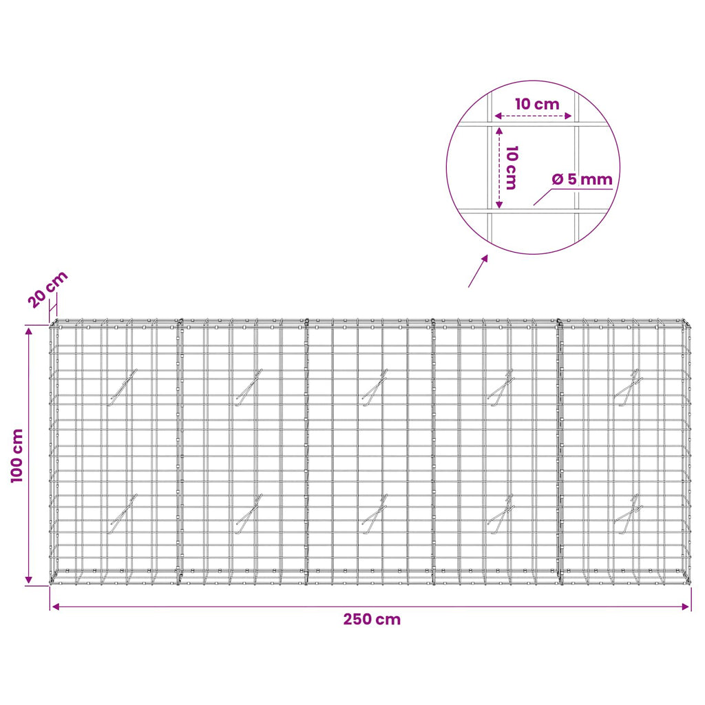 vidaXL Gabion z drutem 5 mm i siatką 10x10 cm 250x20x100 cm