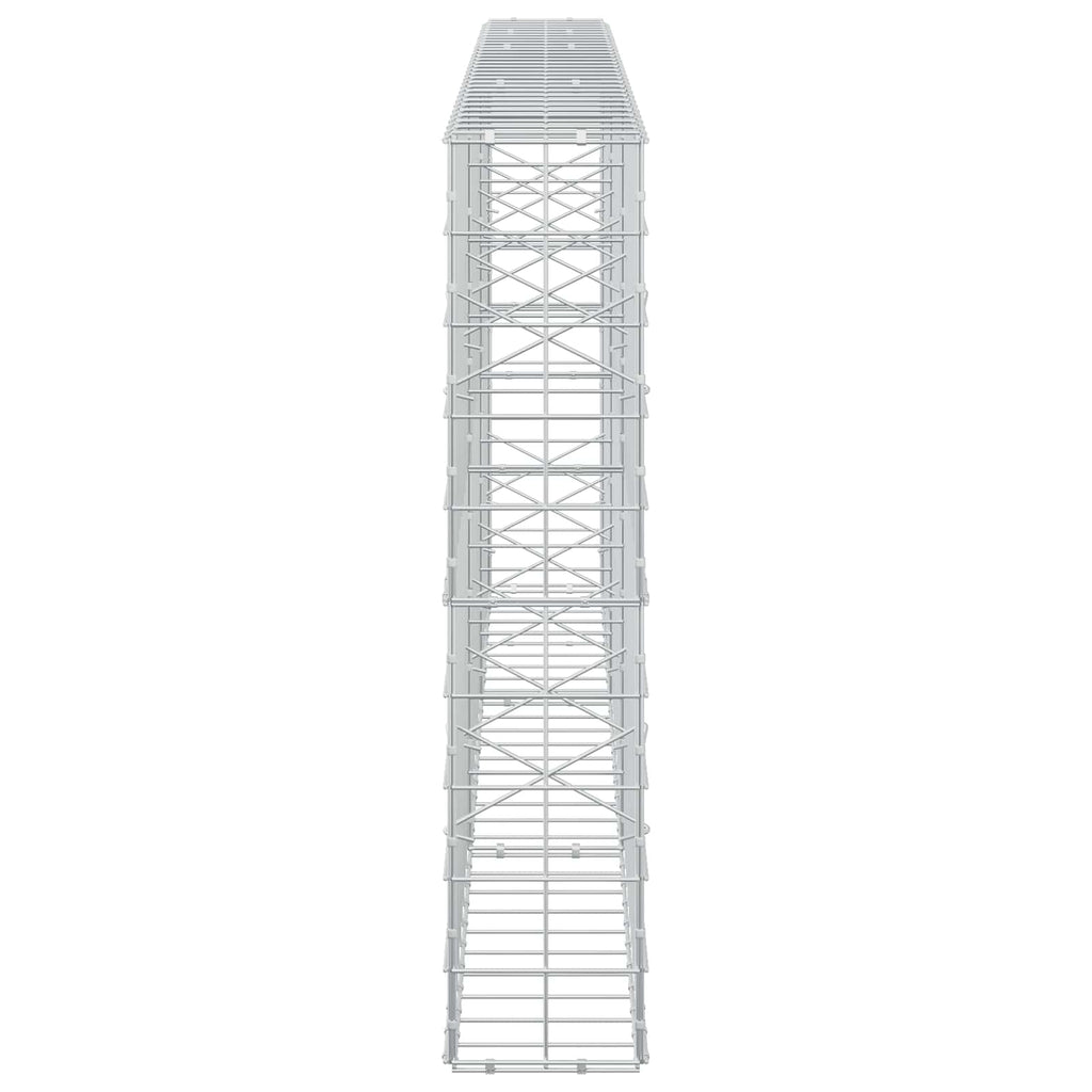 vidaXL Gabion z drutem 5 mm i siatką 10x10 cm 300x20x100 cm