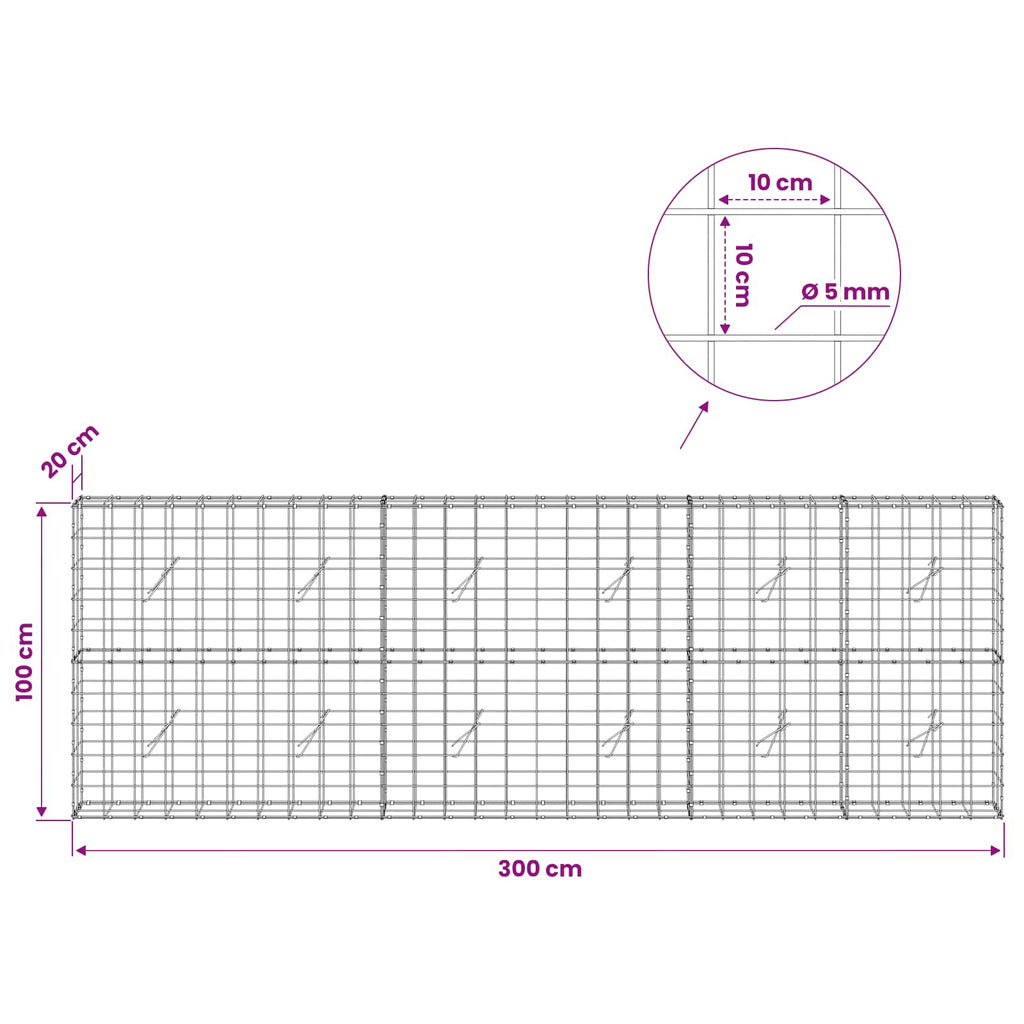vidaXL Gabion z drutem 5 mm i siatką 10x10 cm 300x20x100 cm