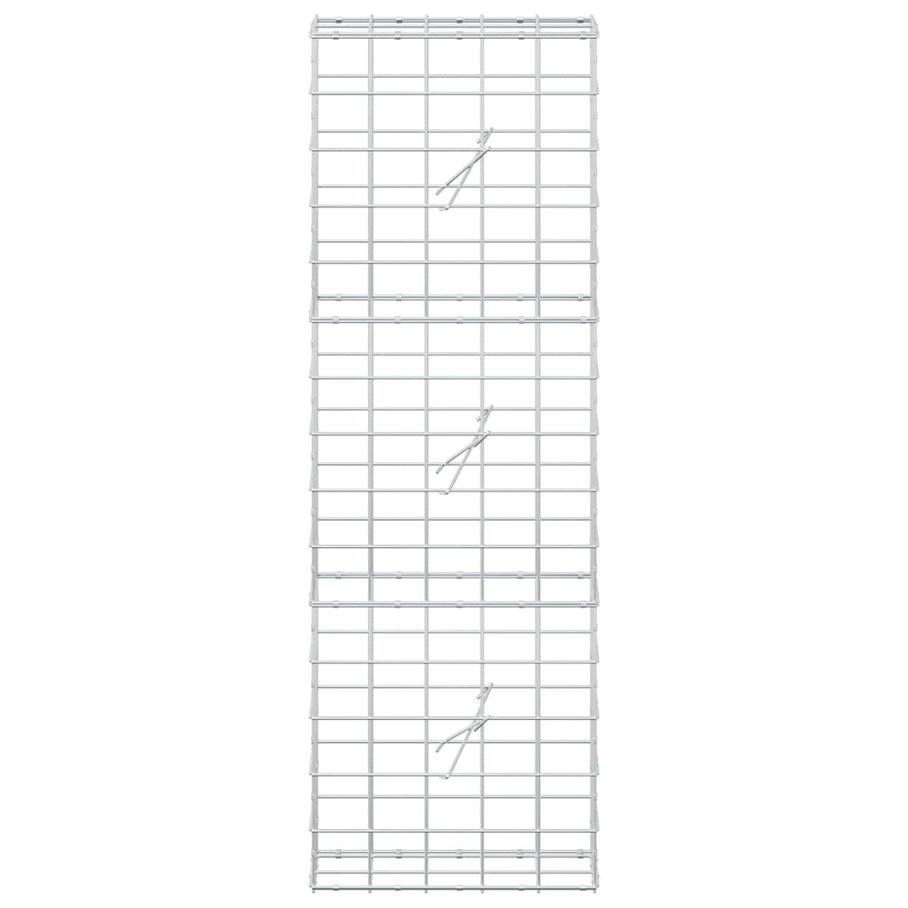 vidaXL Gabion z drutem 5 mm i siatką 10x10 cm 50x20x150 cm