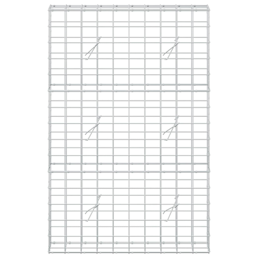vidaXL Gabion z drutem 5 mm i siatką 10x10 cm 100x20x150 cm