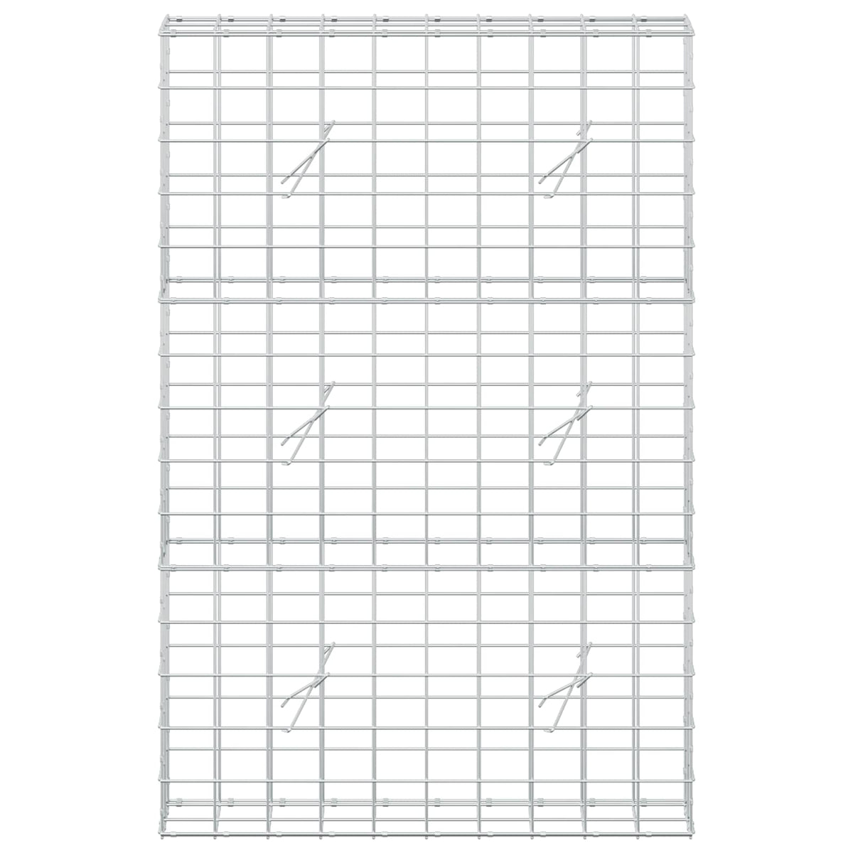 vidaXL Gabion z drutem 5 mm i siatką 10x10 cm 100x20x150 cm