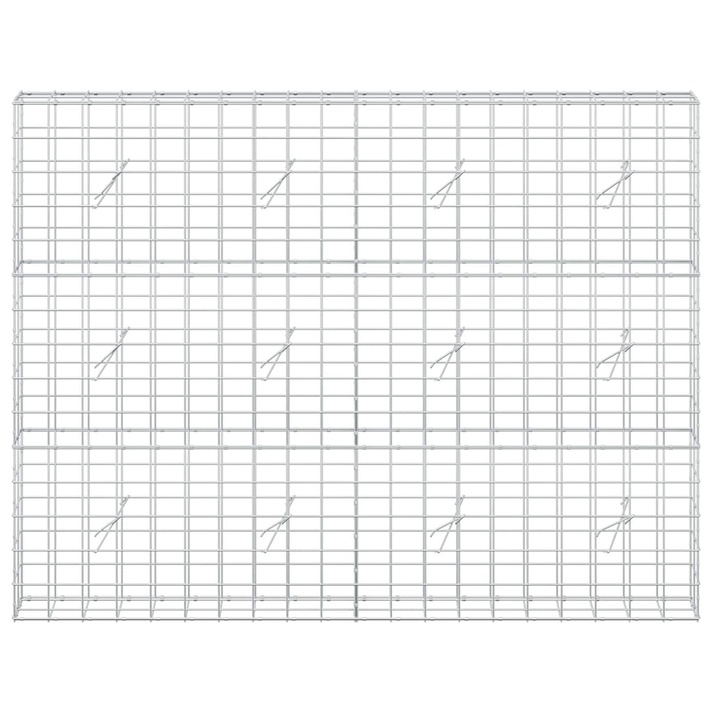 vidaXL Gabion z drutem 5 mm i siatką 10x10 cm 200x20x150 cm