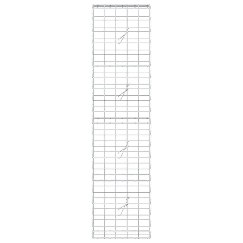 vidaXL Gabion z drutem 5 mm i siatką 10x10 cm 50x20x200 cm