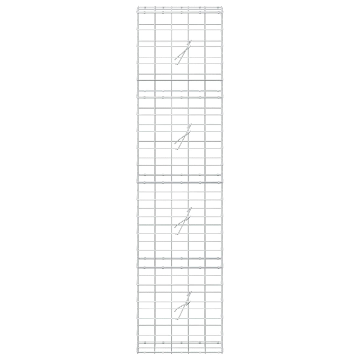 vidaXL Gabion z drutem 5 mm i siatką 10x10 cm 50x20x200 cm