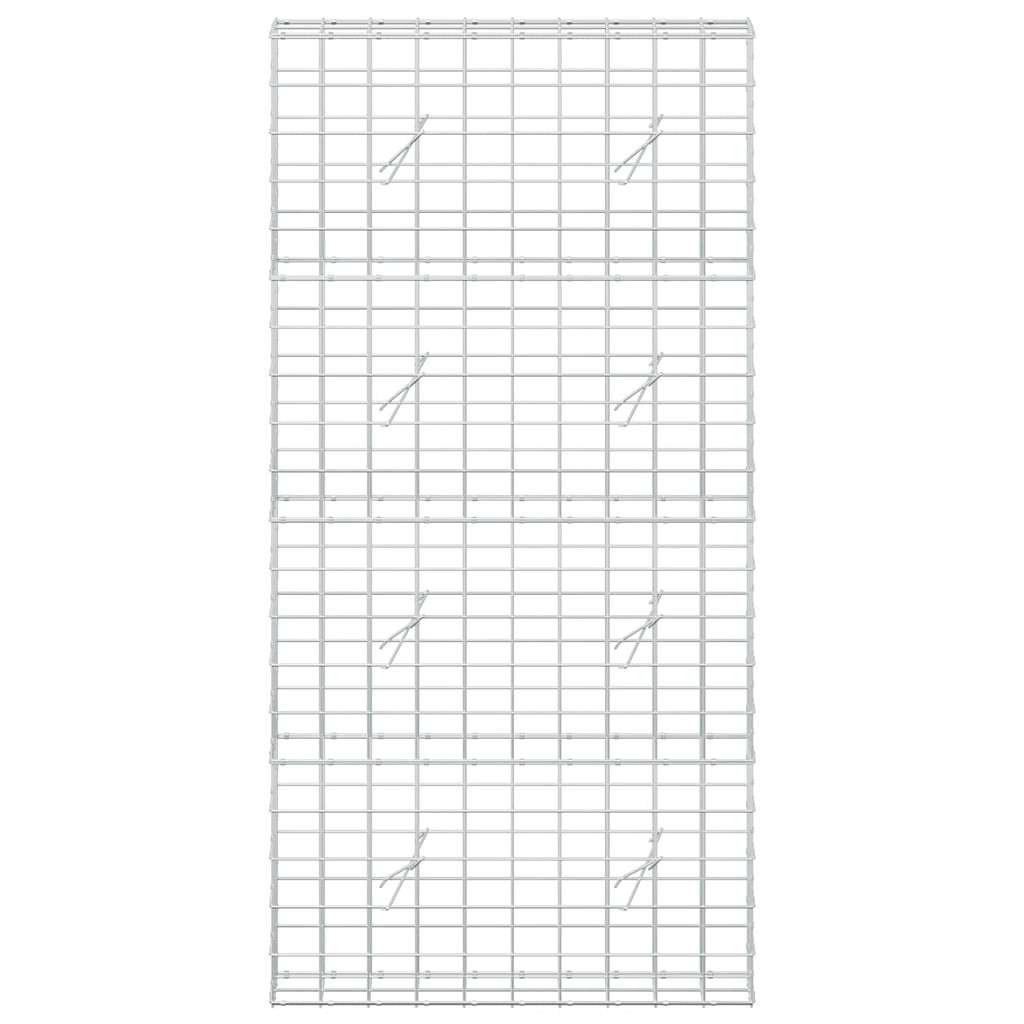 vidaXL Gabion z drutem 5 mm i siatką 10x10 cm 100x20x200 cm