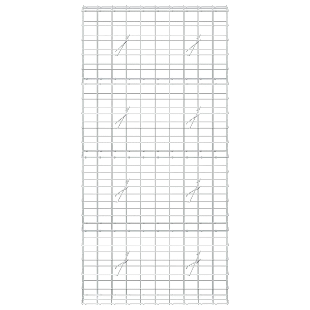 vidaXL Gabion z drutem 5 mm i siatką 10x10 cm 100x20x200 cm