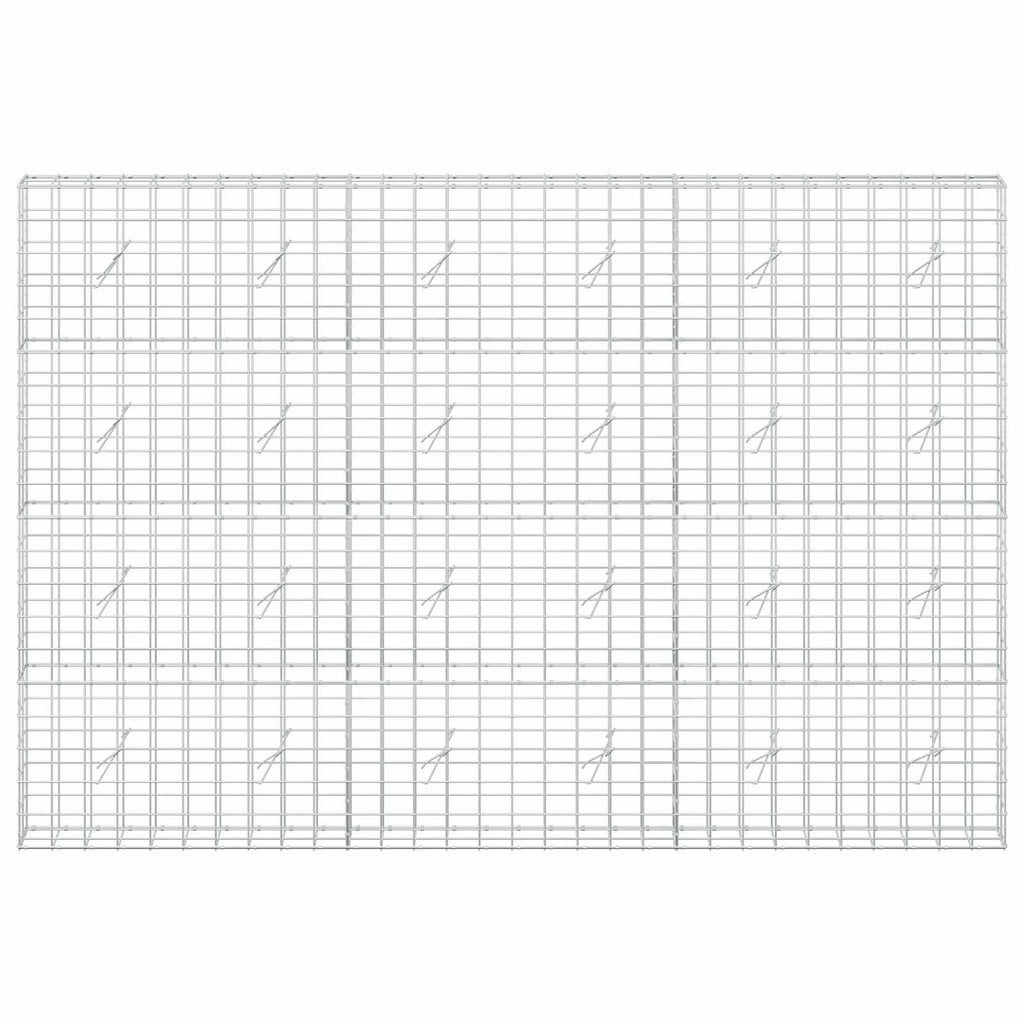 vidaXL Gabion z drutem 5 mm i siatką 10x10 cm 300x20x200 cm