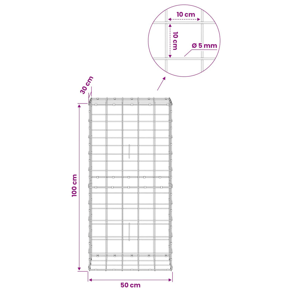 vidaXL Gabion z drutem 5 mm i siatką 10x10 cm 50x30x100 cm