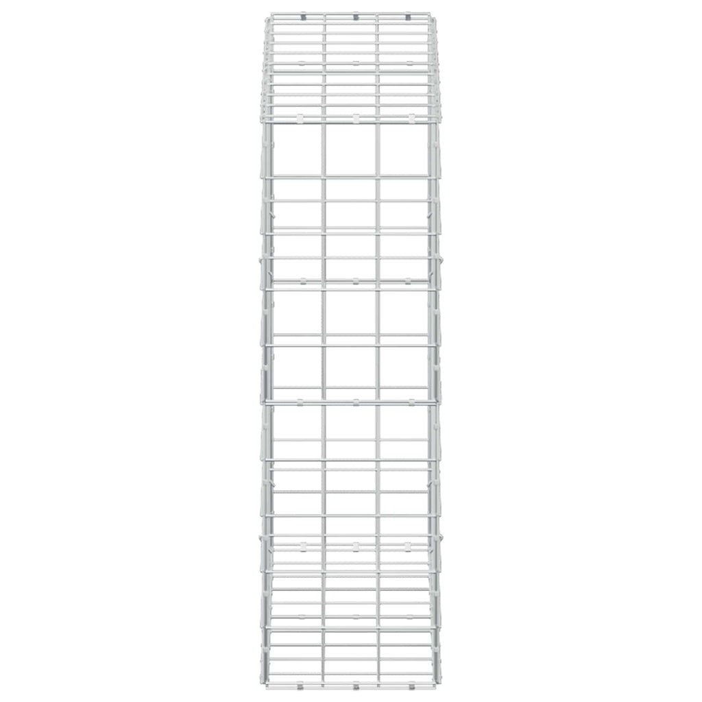 vidaXL Gabion z drutem 5 mm i siatką 10x10 cm 100x30x100 cm