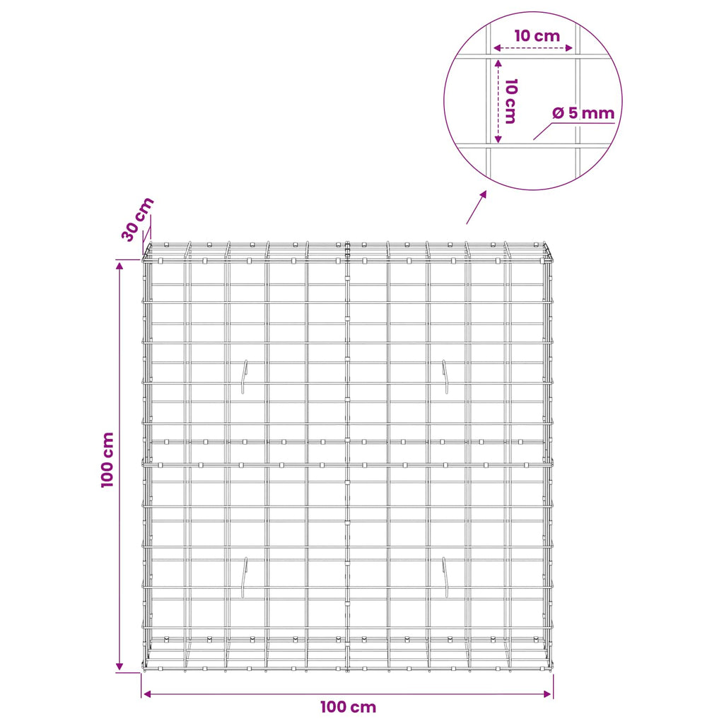 vidaXL Gabion z drutem 5 mm i siatką 10x10 cm 100x30x100 cm