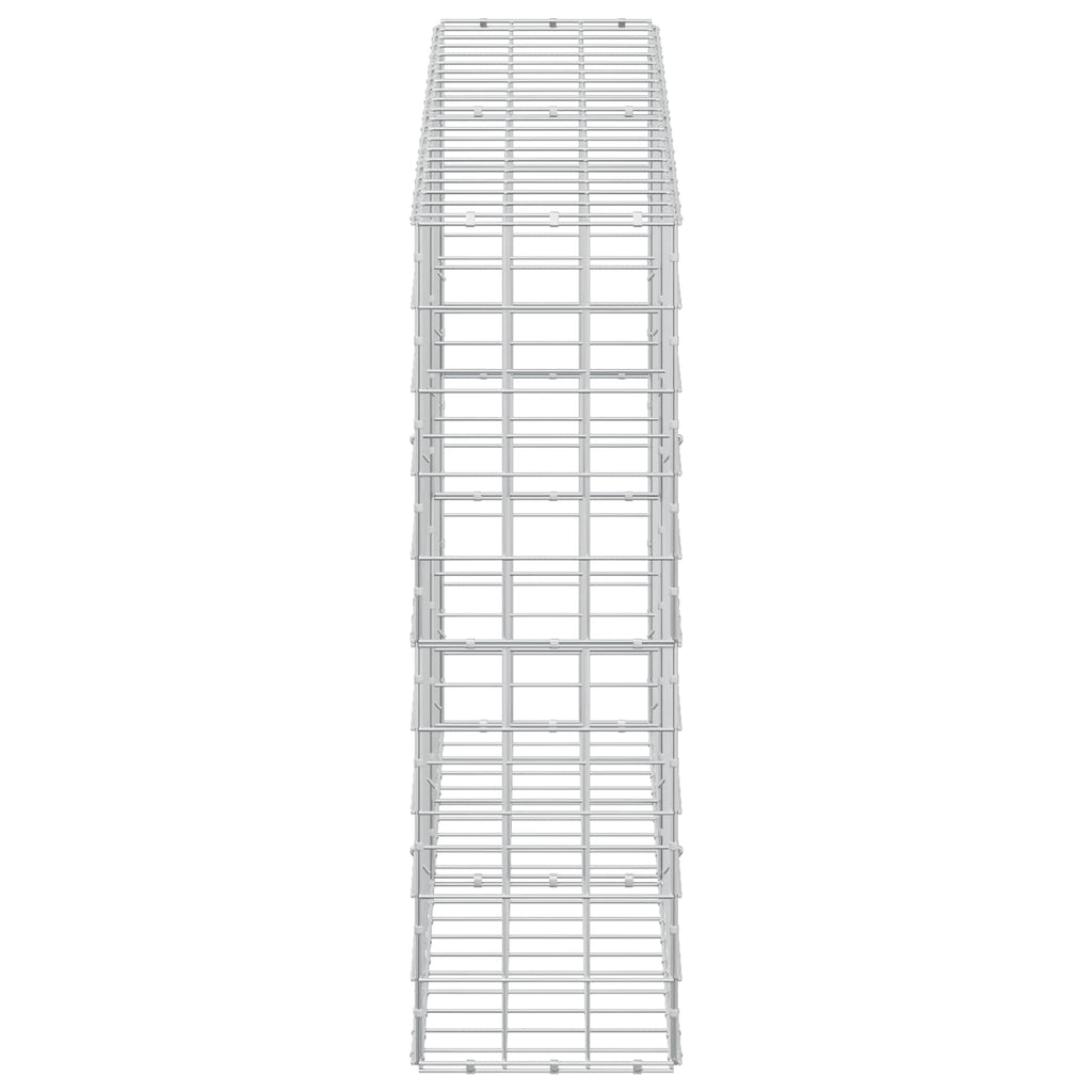 vidaXL Gabion z drutem 5 mm i siatką 10x10 cm 200x30x100 cm