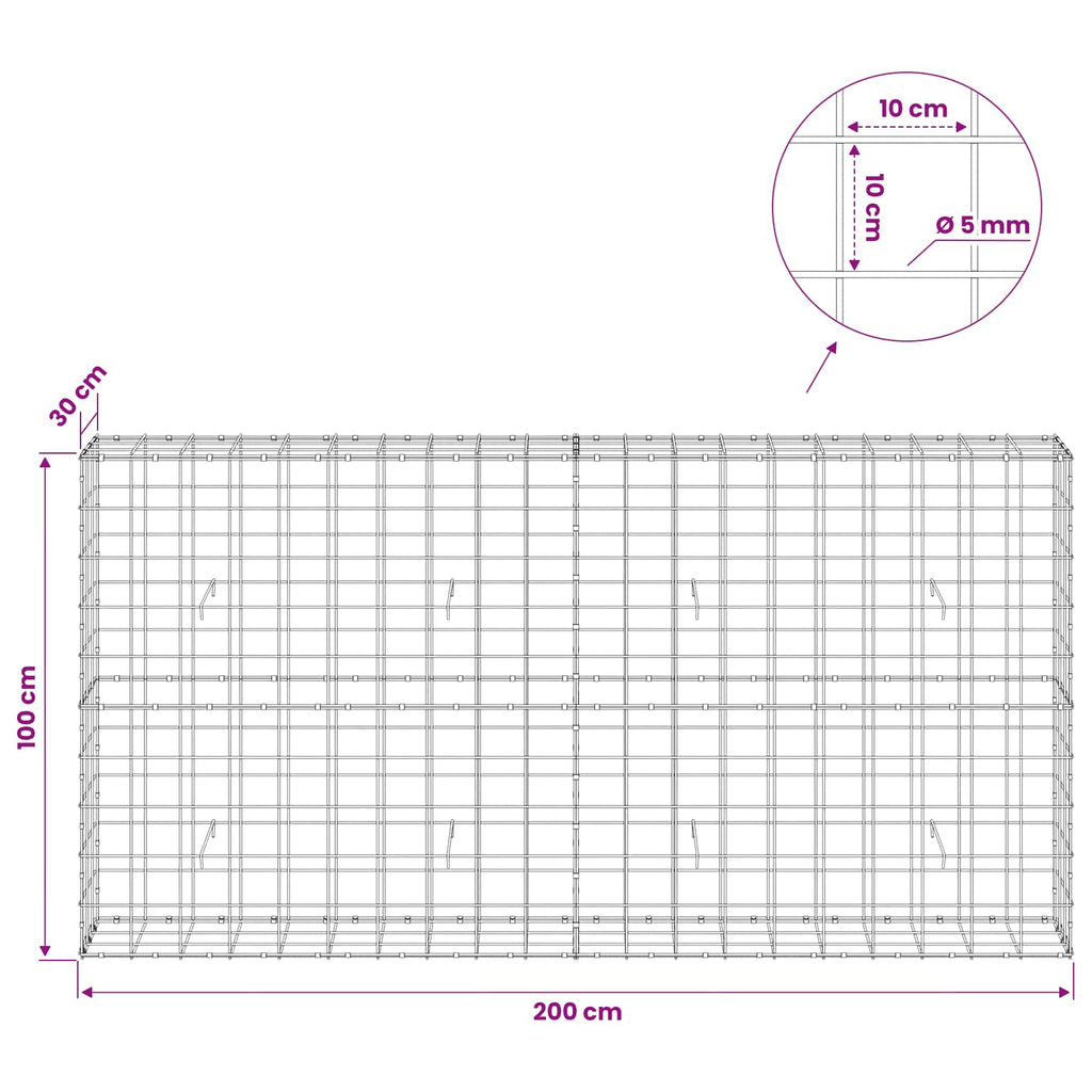 vidaXL Gabion z drutem 5 mm i siatką 10x10 cm 200x30x100 cm