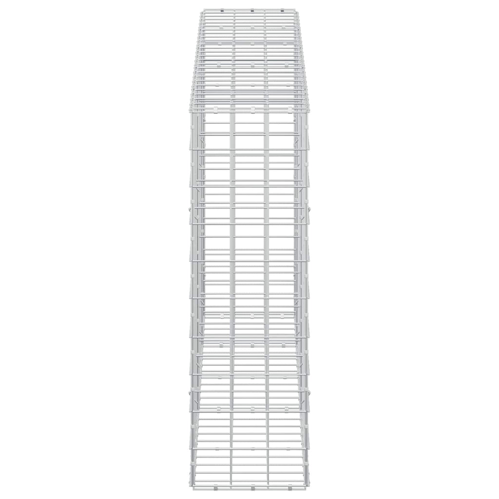 vidaXL Gabion z drutem 5 mm i siatką 10x10 cm 250x30x100 cm